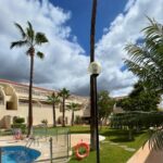 Alice Bendová Instagram - 🌴🌴🌴Naši milí hosté, u nás v apartmánech v Los Gigantes na Tenerife zbývá posledních pár volných termínů na jaro a 1 týden o prázdninách, takže pište na : veselaalice@seznam.cz 🌴🌴🌴 Ceny startují na 99€ na noc/apartmán 🐠🐠🐠Těšíme se na Vás🐠🐠🐠 #rent #apartmentforrent #tenerife #travel #holiday #propertiesforrent #instarent #instatravel #instamood #instagram