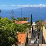 Alice Bendová Instagram - 🌴🌴🌴Naši milí hosté, u nás v apartmánech v Los Gigantes na Tenerife zbývá posledních pár volných termínů na jaro a 1 týden o prázdninách, takže pište na : veselaalice@seznam.cz 🌴🌴🌴 Ceny startují na 99€ na noc/apartmán 🐠🐠🐠Těšíme se na Vás🐠🐠🐠 #rent #apartmentforrent #tenerife #travel #holiday #propertiesforrent #instarent #instatravel #instamood #instagram