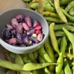 Alice Waters Instagram - TOMORROW: Please join us at LULU for a magical evening with chef/artists Gerardo Gonzalez (@personal_pan_pizza_ ) and Maricela Vega (@chico_querico) Their work explores the delicious possibilities found in clay and corn masa, boundary-pushing Latin flavors and wild local herbs. Tuesday November, 14, 2023 Menu Mexican appetizers and a sip of pechuga mezcal Chayote squash salad with jicama and pomegranate Line caught dayboat rockfish baked in a clay parcel Spicy persimmon -pistachio pipian Scarlet runner beans ranchero-style Hand-made tortillas Tangerine sponge cake with marigold Gerardo’s wild herb amaro ….And a live musical surprise! Prix fixe 85. One night only!