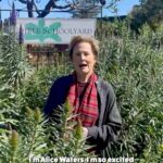 Alice Waters Instagram - I’ve teamed up with Food, Inc. 2 and Food Fight USA to fly out one lucky winner and their friend to Los Angeles to meet me for dinner at my fabulous restaurant inside the Hammer Museum, LULU. Enter to win at FightForGoodFood.com (link in bio) and don't forget to tag who you'd bring along below. As Food, Inc. 2 illustrates so powerfully, the way we eat matters now more than ever. Your entry will help us raise awareness for the causes most near and dear to my heart: eating locally and seasonally, supporting our regenerative and organic farmers, and expanding access to healthy, nutritious and sustainable food for all Americans. The film will be available everywhere April 12! Enter to win at FightForGoodFood.com and good luck! #foodinc2