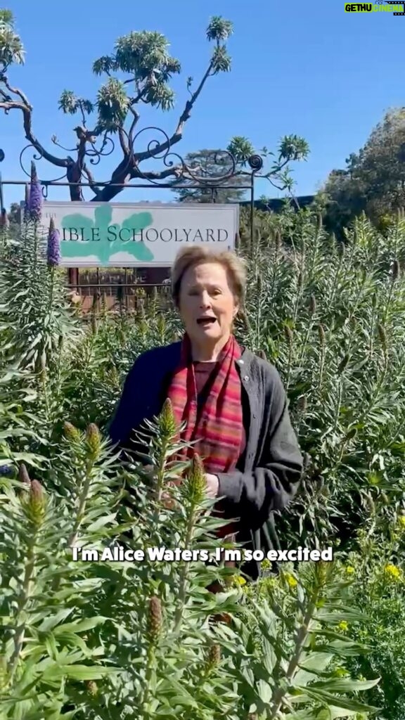 Alice Waters Instagram - I’ve teamed up with Food, Inc. 2 and Food Fight USA to fly out one lucky winner and their friend to Los Angeles to meet me for dinner at my fabulous restaurant inside the Hammer Museum, LULU. Enter to win at FightForGoodFood.com (link in bio) and don't forget to tag who you'd bring along below. As Food, Inc. 2 illustrates so powerfully, the way we eat matters now more than ever. Your entry will help us raise awareness for the causes most near and dear to my heart: eating locally and seasonally, supporting our regenerative and organic farmers, and expanding access to healthy, nutritious and sustainable food for all Americans. The film will be available everywhere April 12! Enter to win at FightForGoodFood.com and good luck! #foodinc2
