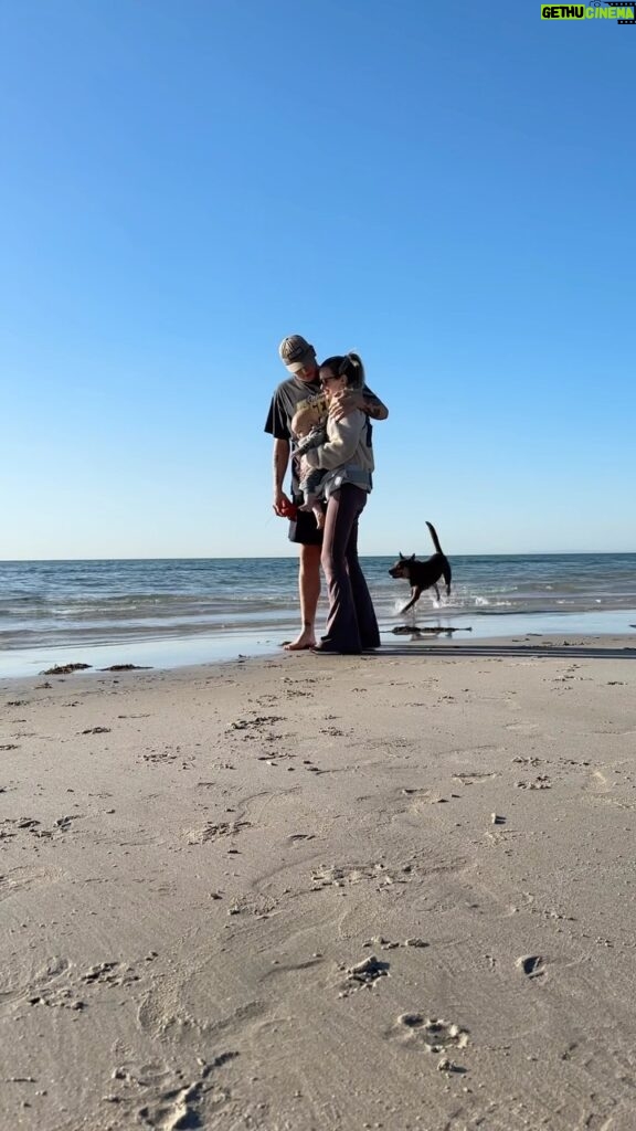 Alicia Banit Instagram - Off on a family walk to the beach with our new BabyBjörn carrier. We haven’t been able to get down there as much as we’d like given that prams don’t love sand! But now being able to walk there with ease and two hands free is a game changer. So stoked to have confidence walking our pup at the same time without having to wrangle him and a pram too! I love these special moments with my lil fam. @babybjorn #babybjornharmony #allinonecarrier #ad