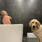 Alicia Moffet Instagram - Ma best a 4 ans aujourd’hui 🥺🎂🎈🎁 Le chien chien le plus spécial, thérapeutique et doux qu’ya pas. On en a traversé des choses ma p’tite madame et moi et j’espère l’avoir à mes cotés pour encore pluuuuuusieurs années 🤍