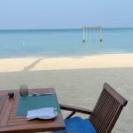 Alicia Moffet Instagram - While in the Maldives 🌊☀️🌪️👙🪂 @fairmont.maldives
