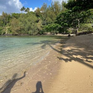 Alicia Sanz Instagram - I’m moving to Hawaiiiii 🌺
