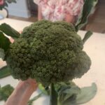 Alicia Witt Instagram - a night of home grown broccoli and friendship and… ernest finding harry … irresistible ✨🐾 @franflinnpatton @theimportanceofbeingernesth