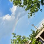 Alicia Witt Instagram - a tiny glimpse at the past 48 hours 1) @curbrecords laying down some christmas album vocals with @kalmusky 2) lead vocals on 6 songs in 3 hours 🙃 3) ernest during saturday’s livestream concert on @stageit (next one tues may 7 at 2 EST) 4) rainbow sighting outside @sohohouse after running into @johnschaech 5) when insomnia strikes: self-tape that audition for the gal who’s had a lil too much too drink (i don’t, so i figured my tiredness would translate) 6) ye olde home farm 7) hoping for homegrown carrots 🔜 🌱 8) homegrown cicada 9) homegrown peonies 10) homegrown arugula-kale-lettuce-collards