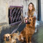 Alicja Bachleda-Curuś Instagram - Przed Państwem Odessa & Stella u boku niezastąpionej Alicji Bachledy-Curuś, która jako wieloletnia patronka i oddana wspierająca schroniska KTOZ wyznacza nowe trendy dla naszych projektów jako @ligapsichmarzen. Niezmiernie miło jest nam poinformować nie tylko o wspaniałej sesji, ale również Adopcji Odessy przez Alicję. To nie pierwszy psiak adoptowany przez Alę. Odessa dołączyła do Luny, która lata temu została otoczona miłością i prawdziwym domem przez naszą patronkę. Nie czekajcie, kontaktujcie się z nami w sprawie adopcji Stelli, która nadal czeka na swój nowy wspaniały świat. Już wkrótce na naszym profilu (również facebookowym) pojawi się wyjątkowy wywiad o miłości do zwierząt i przemyślanej adopcji z Alicją Bachledą-Curuś! „Przez zdjęcia do psiego szczęścia” Foto📸 @ciociaewaa Wyprawka do nowego domu od @kissthedog.pl #niekupujadoptuj#adoptdontshop #dog#doggo#puppy @ktoz_schronisko