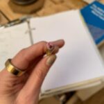 Alie Ward Instagram - Only zoom in if you’d like to meet my new friend, a #psuedoscorpion