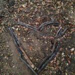 Alie Ward Instagram - Normalize leaving signals in a secret spot in the woods for each other even when you’re broken up and then get engaged there