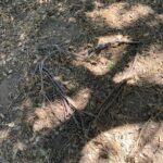 Alie Ward Instagram - Normalize leaving signals in a secret spot in the woods for each other even when you’re broken up and then get engaged there