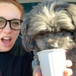 Alie Ward Instagram - Our small muffin baby trying her 1st pup cup -> immediately after