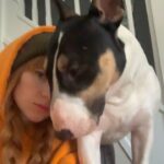 Alina Kovalenko Instagram - Something from the timeline