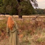 Alina Kovalenko Instagram - A place where my soul belongs. Please watch till the end. Enjoy the colors and sounds of my favorite time of the year 🍁 And some spying on the deer 🦌
