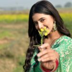 Alisha Parveen Instagram - 🌻