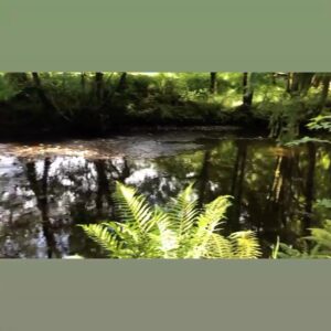 Alison Doody Instagram - River walks 💚