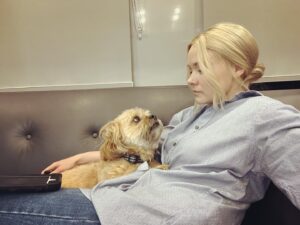 Alison Pill Instagram - #henrychirpa and I love nothing more than sitting in a trailer on set.  I get to do what I love at work, he gets treats, everyone is happy.  But…everyone is not actually happy.  Our @sagaftra contract expires tomorrow at midnight and negotiations continue til then.  We’ll see what it brings, but membership voted for a strike authorization with almost 98%. So we could strike next week.  Ours is kind of a crazy union in that our members include some of the most famous people in the world.  Most unions don’t have that visibility.  It’s helpful, but it can also distract from our position in a broader movement.  And this moment in labour organizing feels very, very important.  Strong unions (along with meaningful anti-monopoly regulation) are really the best way I’ve seen to address income inequality, abuses at work, and to see a fair distribution of profits.  Look, labour is pisssssed.  And rightly so.  Monopolies abound, costs of business are foisted on workers, new technology is unregulated and under-researched, and inequality is at Gilded Age peaks.  This is a note to say I love that I get to do what I do, and am grateful.  But the AMPTP better listen up to our demands because this is a labour moment.  The folks @wgaeast and @wgawest could probably say it better because they’re writers.  And the folks @iatse built so much power in their last negotiations.  And @teamsters I mean come on.  It’s really f$cking cool to be alongside them right now, and all the other locals.  Okay, that’s it.  Got to give Henry some more treats.