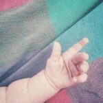 Alison Sudol Instagram - it’s just as good the second time around