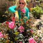 Alison Sweeney Instagram - I am completely in love with our rose garden. Dave catches me watching YouTube videos about how to take care of roses. The whole process has brought us such joy. Im happy to report our newest additions to the rose garden are blooming and thriving. 🌹 happy #nationalgardeningday #roses #outdoors #sunnies ☀️