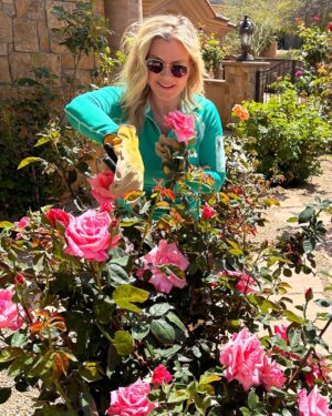 Alison Sweeney Instagram - I am completely in love with our rose garden. Dave catches me watching YouTube videos about how to take care of roses.  The whole process has brought us such joy. Im happy to report our newest additions to the rose garden are blooming and thriving. 🌹 happy #nationalgardeningday #roses #outdoors #sunnies ☀️
