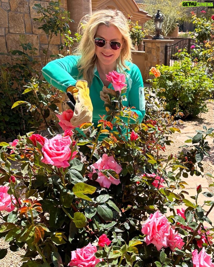 Alison Sweeney Instagram - I am completely in love with our rose garden. Dave catches me watching YouTube videos about how to take care of roses. The whole process has brought us such joy. Im happy to report our newest additions to the rose garden are blooming and thriving. 🌹 happy #nationalgardeningday #roses #outdoors #sunnies ☀️