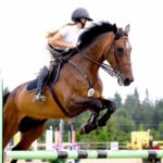 Alison Sweeney Instagram – Megan & Abracadabra have been magic together. So fun to see them Champions of 1.10 Ch Jumpers @thunderbirdshowpark such a fun show! Great photos by @sarashierphotography !