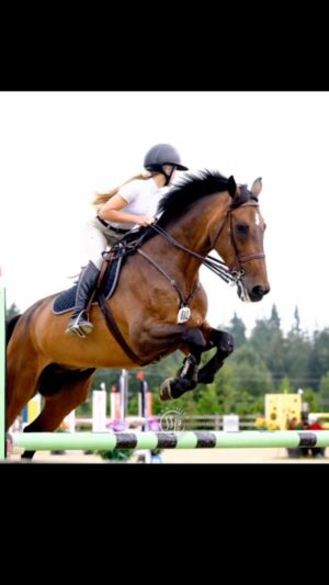 Alison Sweeney Instagram - Megan & Abracadabra have been magic together. So fun to see them Champions of 1.10 Ch Jumpers @thunderbirdshowpark such a fun show! Great photos by @sarashierphotography !