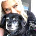 Alison Sweeney Instagram – Thinking of the rescue dogs that have such a special place in our hearts I wanted to share a link to help @americanhumane who have been on the frontlines caring for animals in the aftermath of the Maui wildfires. If you would like to contribute to their grant to help Maui Humane Society provide critical aid please see the link in my bio. 🐈 🐶 ❤️