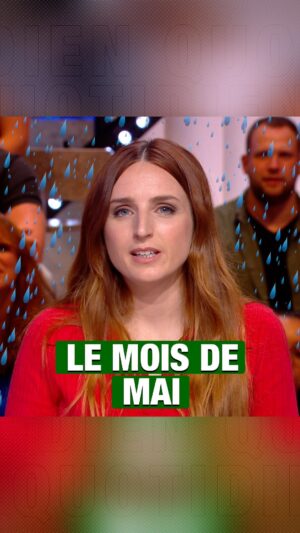 Alison Wheeler Instagram - C’est nous ou ce mois de mai est horrible ? 😶