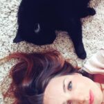 Alison Wheeler Instagram - DIM😻NCHE