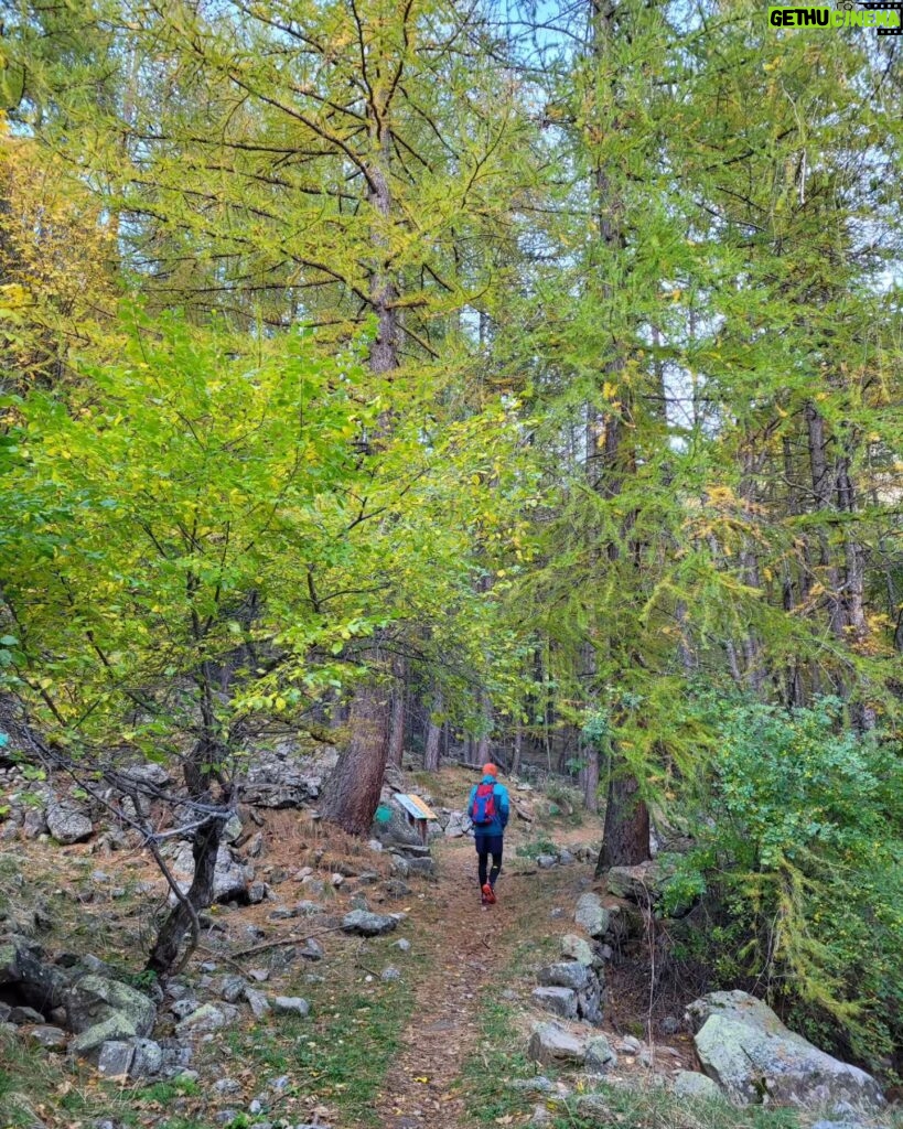 Alizé Cornet Instagram - Ne jamais perdre des yeux l'essentiel ⛰️🌱🍁🌳🍂🌍 Mercantour mon amour 💚 L'une des plus belles randonnées qu'il m'ait été donné de faire 🙏 #mercilavie