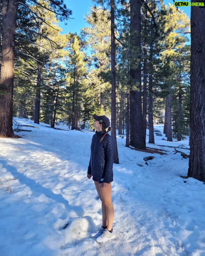 Alizé Cornet Instagram - Not the usual pictures from Indian Wells 😉❄️