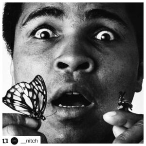 Allison Mack Instagram - #repost @__nitch
• • •
Muhammad Ali // "Impossible is just a big word thrown around by small men who find it easier to live in the world they've been given than to explore the power they have to change it. Impossible is not a fact. It's an opinion... Impossible is temporary. Impossible is nothing."