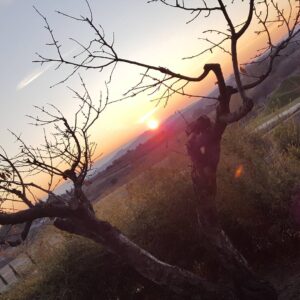 Allison Mack Instagram - #nofilter #soulfood