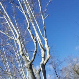 Allison Mack Instagram - nothin but blue skies from now on.... #nofilter #beautyallaround #soulfood
