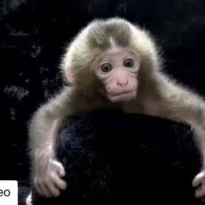 Allison Mack Instagram - I just cant.... I mean....