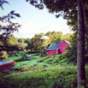 Allison Mack Instagram - "After all," Anne had said to Marilla once, "I believe the nicest and sweetest days are not those on which anything very splendid or wonderful or exciting happens but just those that bring simple little pleasures, following one another softly, like pearls slipping off a string."
#L.M.Montgomery #simplepleasures #endofsummerlove #nourishment
#Soulfood