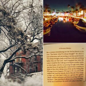 Allison Mack Instagram - Coast to coast Christmas... filled with warmth no matter the weather.... "with today in my eyes..." #soulfood #inspiration