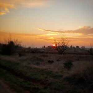 Allison Mack Instagram - days end....