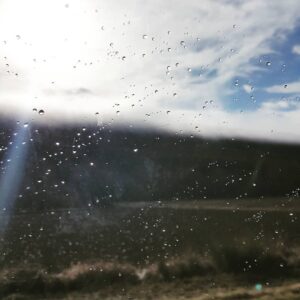 Allison Mack Instagram - rainy mornings turn into.....