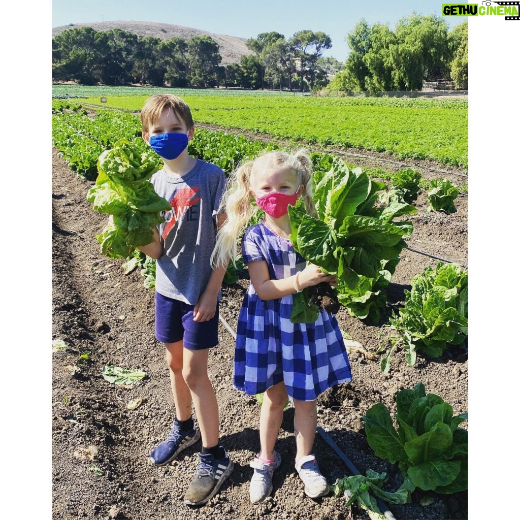 Allison Munn Instagram - We played hooky from zoom school today & went to the farm.