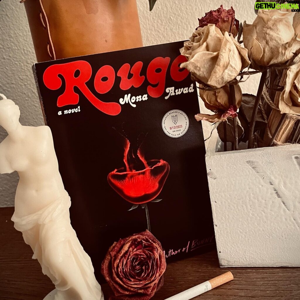 Allison Scagliotti Instagram - A very happy publication day to @misss_read for the book that cut deeper than I thought possible. Not only my favorite so far this year, but an instant classic. Read Rouge immediately. #goingthewayofroses