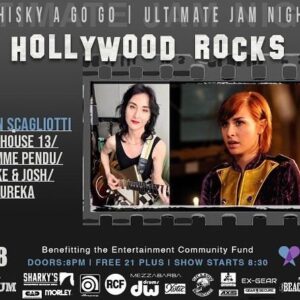 Allison Scagliotti Instagram - Back at it tonight. Been picketing all day? Free jam benefitting @alifeinthearts featuring some of your faves. Elf ears not slated to appear.