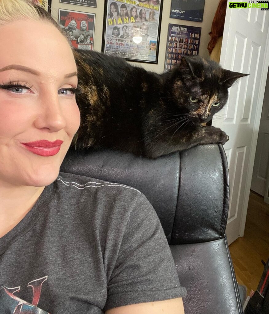 Allysin Kay Instagram - Come watch Frida destroy my office chair in real time tonight at 10pm ET on Twitch 😻 I’ll be announcing the dates for our next #HotGirlTwitch: HOTlanta Edition!! 🔥 Also: My first-ever collab w/ Thunder Rosa is dropping tomorrow morning at 10 AM Eastern - check my stories & bio for the links! 🧁