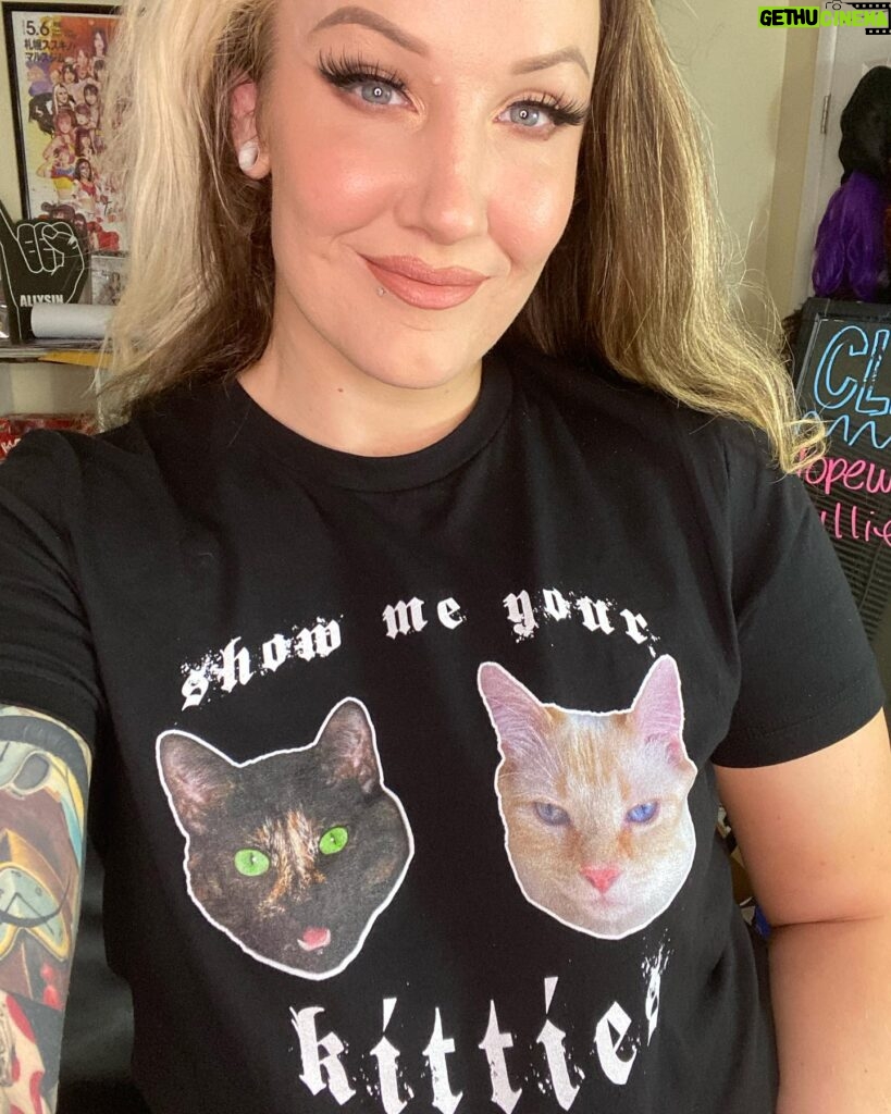 Allysin Kay Instagram - SHOW ME YOUR KITTIES 😻😻 New shirt featuring the real stars of my Twitch: Frida & Dali. 🥰 Proceeds go directly to their treat fund - Link to my Twitch store in my stories & bio 🖤