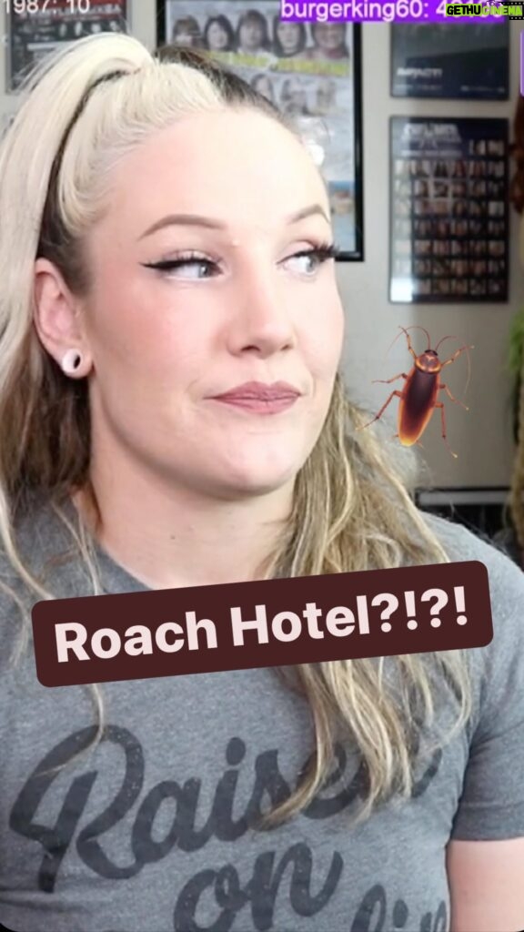 Allysin Kay Instagram - 🚨 New video up on YouTube! 🚨 ROACH MOTELS, Scary Road Trips, & How Not to SUCK as a Travel Partner I’m trying to get my YouTube monetized so watching my videos helps tremendously! 🖤 Link in my stories and bio 🪳