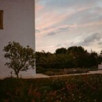 Aly Michalka Instagram - So grateful for this week in Puglia @masseriadonnagnora thank you @thethinkingtraveller