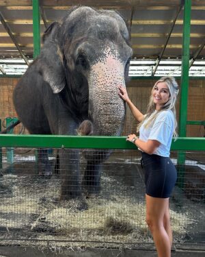 Alyssa Snider Instagram - Went to an elephant sanctuary and even got to give ‘em a bath 🐘🛁
To donate to our big friends: https://www.myakkaelephantranch.org/support