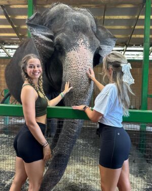 Alyssa Snider Instagram - Went to an elephant sanctuary and even got to give ‘em a bath 🐘🛁
To donate to our big friends: https://www.myakkaelephantranch.org/support