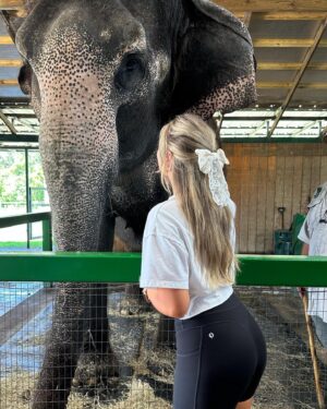 Alyssa Snider Instagram - Went to an elephant sanctuary and even got to give ‘em a bath 🐘🛁
To donate to our big friends: https://www.myakkaelephantranch.org/support